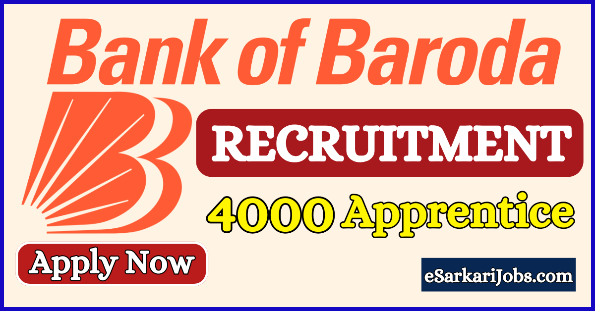 Bank of Baroda Apprentice Recruitment 2025 Notification